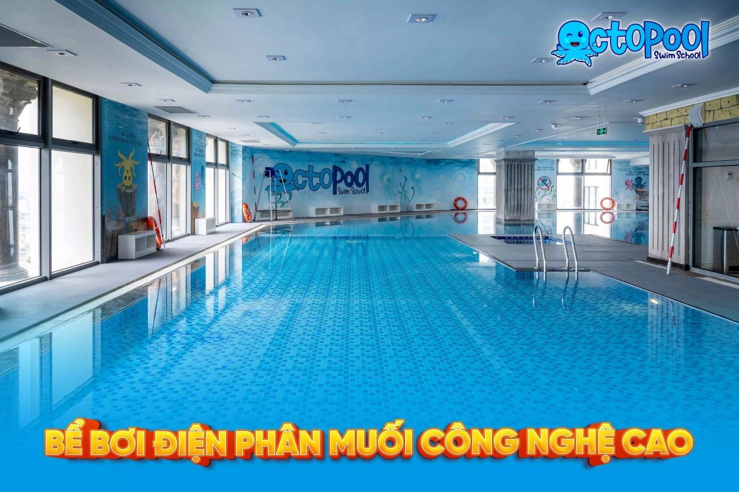 Bể bơi octopool nghi tàm