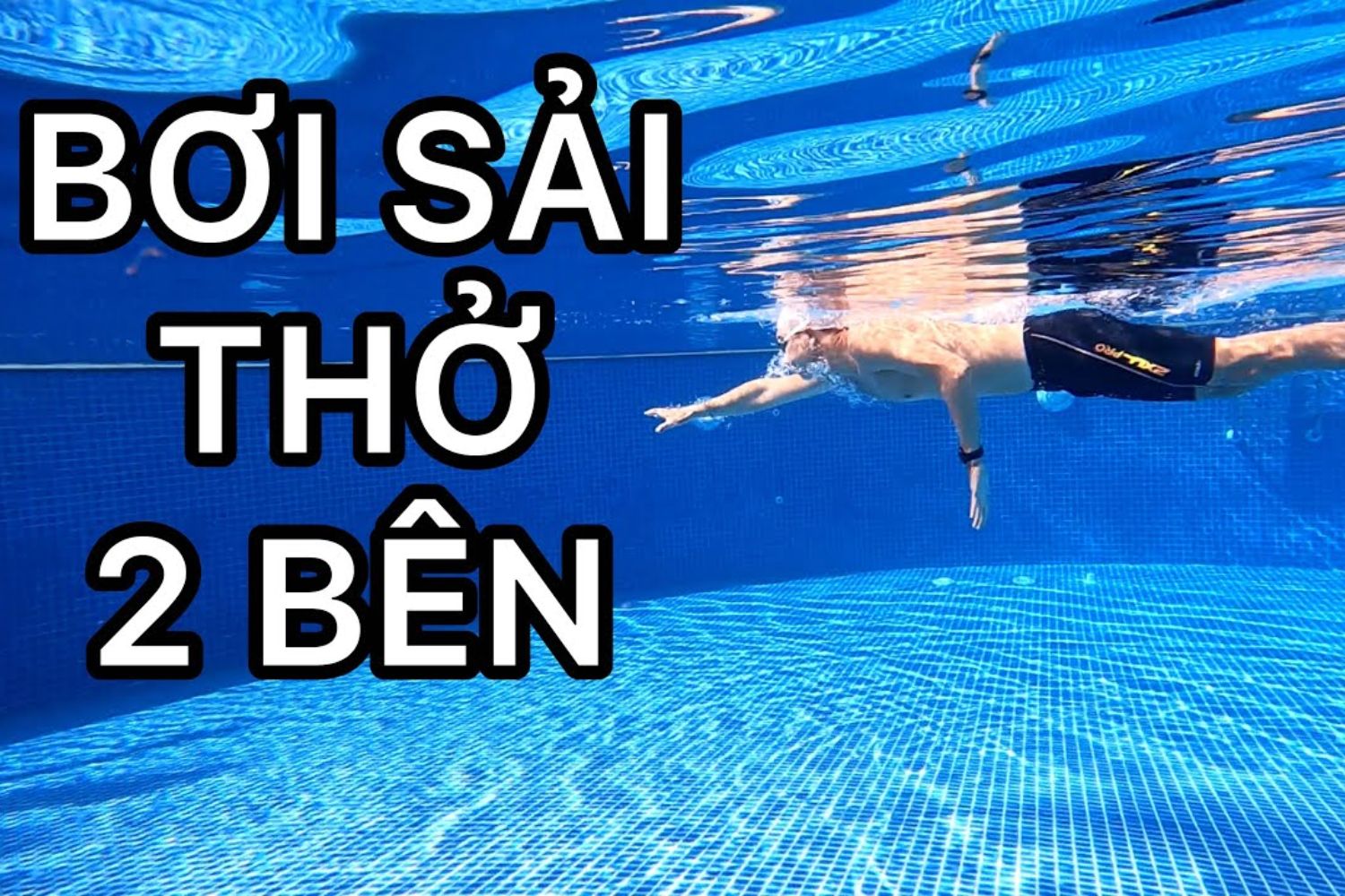 Học bơi sải
