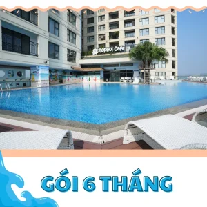 gói bơi 6 tháng
