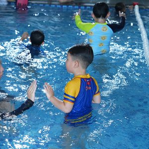 truong bơi octopool