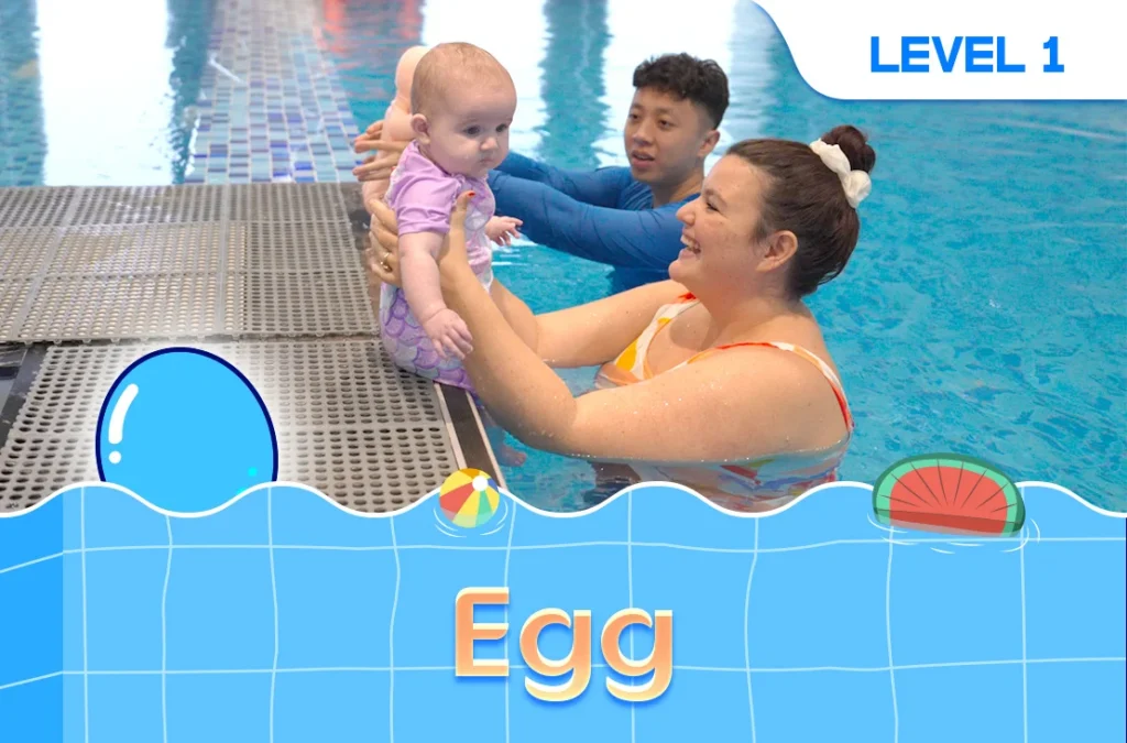 egg class