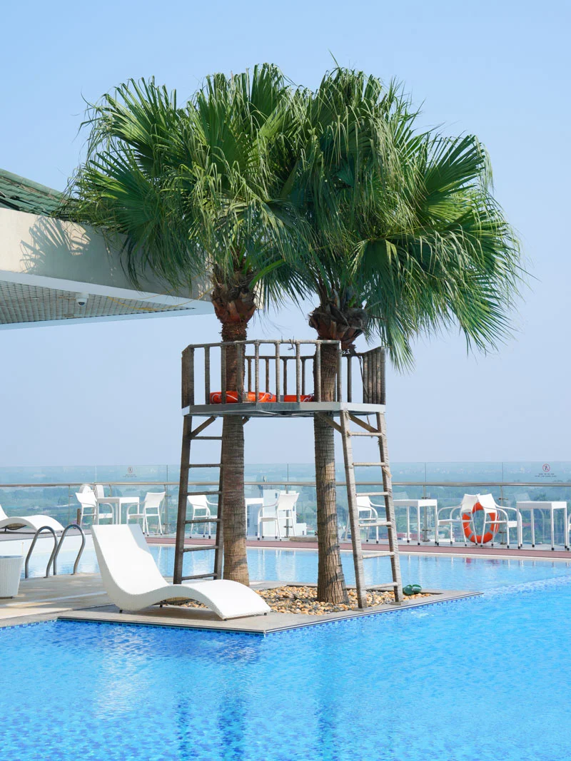 Rooftop Pool 2